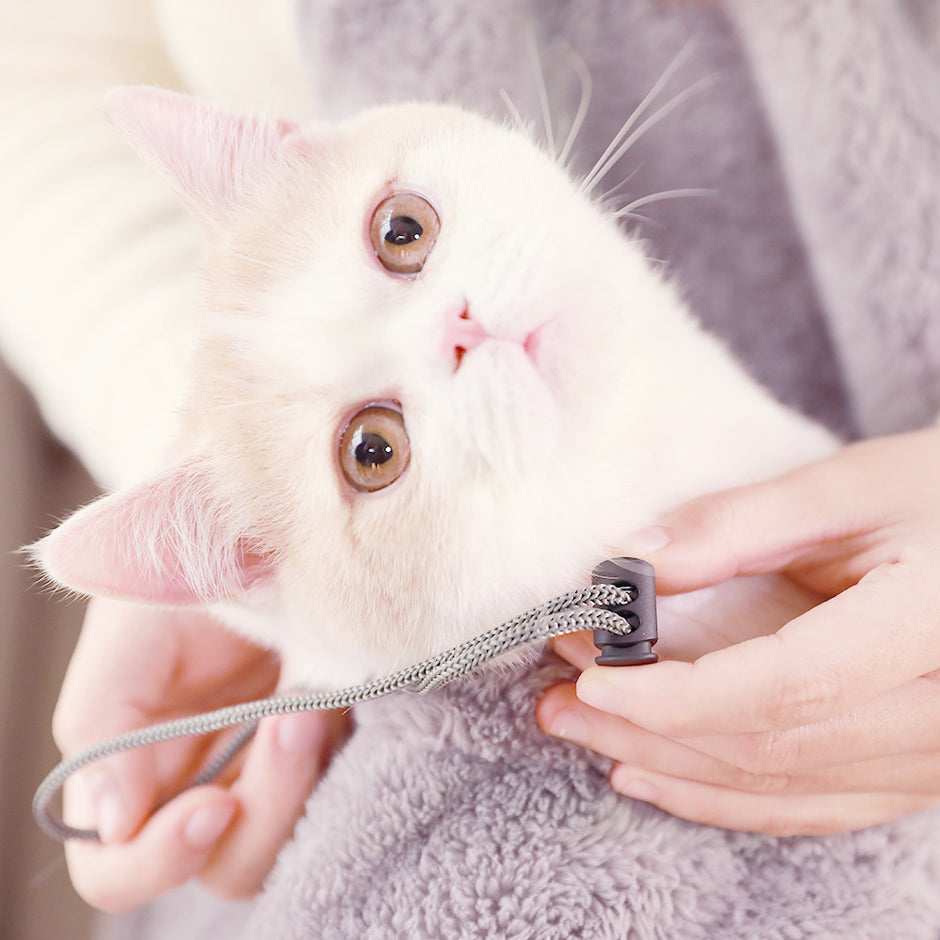 Dog Essentials – Paws, Caws and Claws